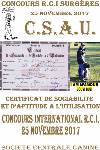 MUFFIN CSAU 2017 elevage du clos de la luette 17